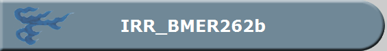 IRR_BMER262b